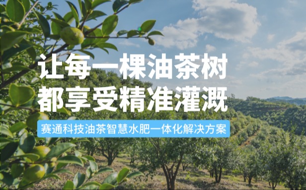 赛通科技油茶suncitygroup太阳新城(中国)水肥一体化解决方案：让每一棵油茶树都享受精准灌溉